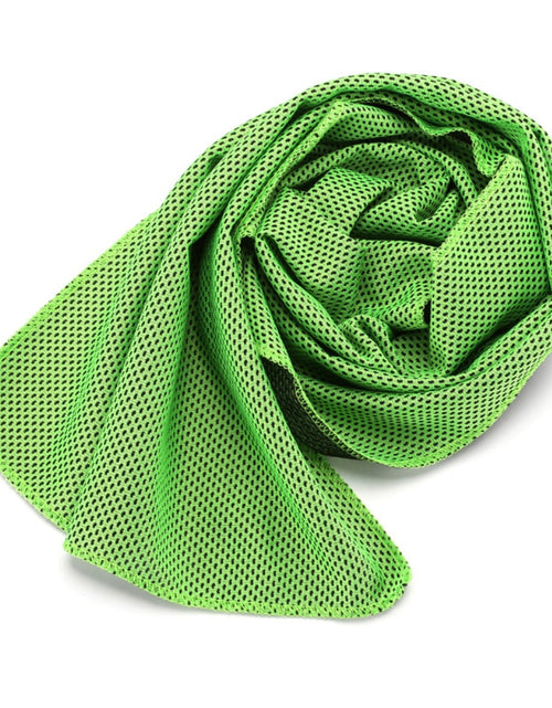 Load image into Gallery viewer, Microfiber Rapid Cooling Sport Towel(Shipping 10-14 Days)
