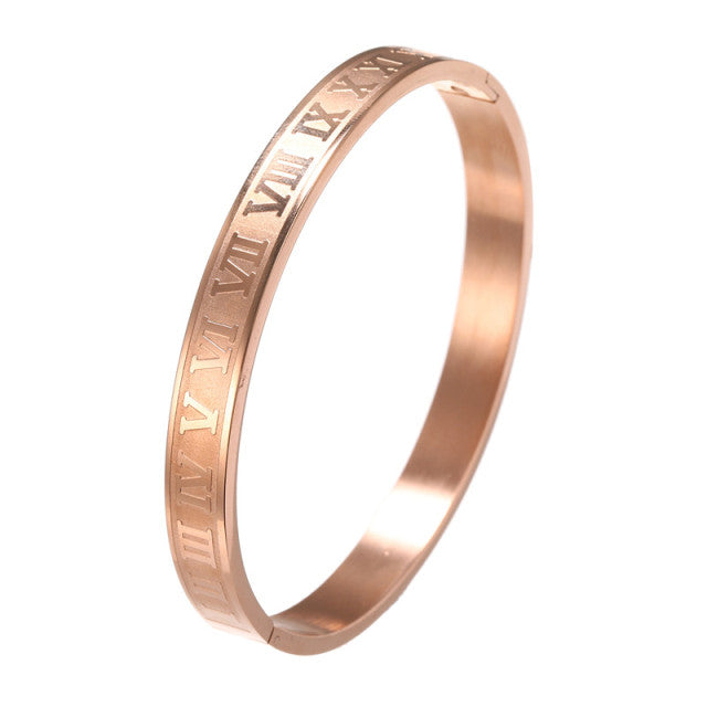 Stainless Steel Bracelet(Shipping 10-14 Days)