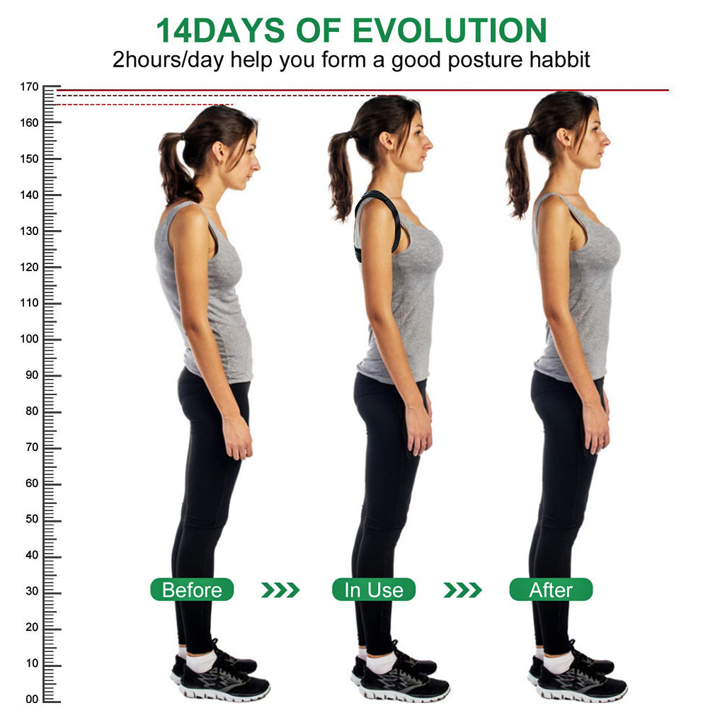 Posture Corrector(Shipping 10-14 Days)