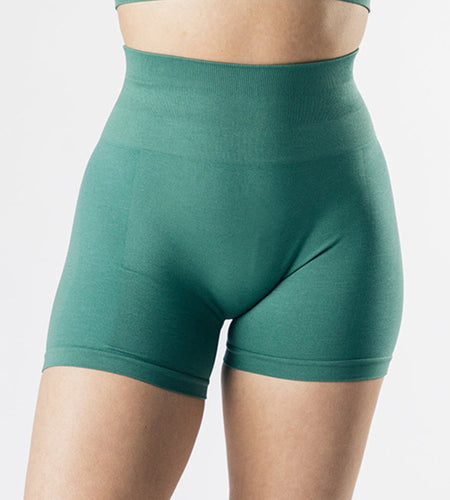 High Waist Sport Shorts(Shipping 10-14 Days)
