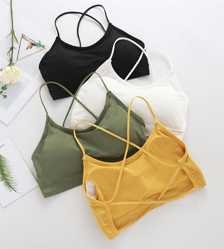 Sexy  Fitness Sports Bra(Shipping 10-14 Days)