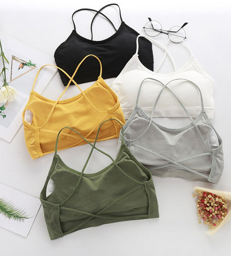 Sexy  Fitness Sports Bra(Shipping 10-14 Days)